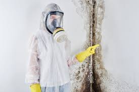 Mold Documentation for Insurance Claims in Saratoga Springs, NY